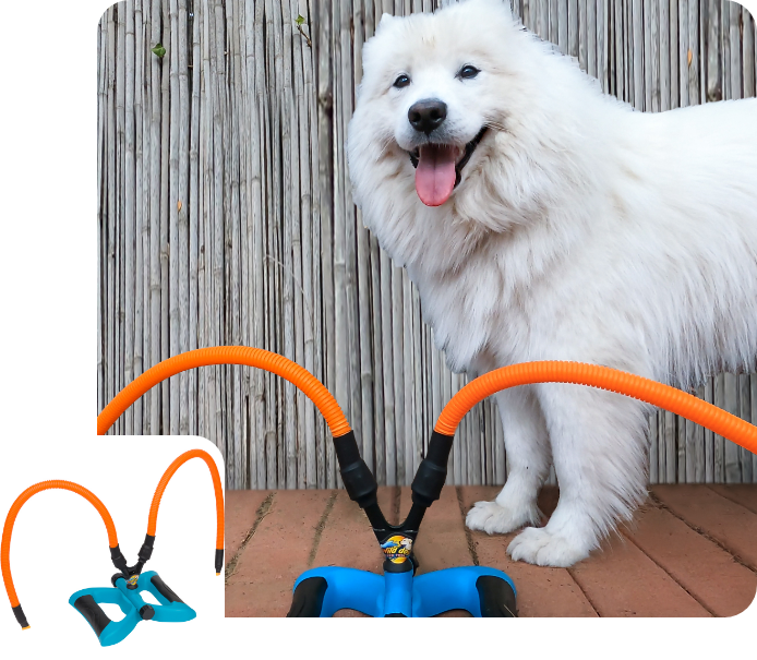 Wild Dogs Water Toys