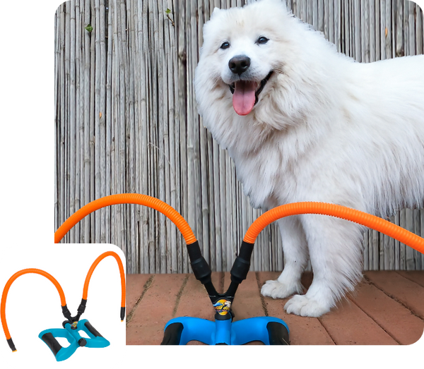 Dog best sale water toys